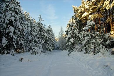 变身鬼魂媒婆恋爱游戏《爱神幽灵》8月14日发售